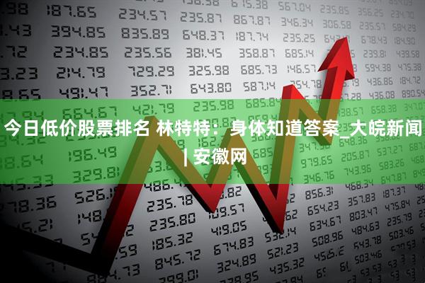 今日低价股票排名 林特特：身体知道答案_大皖新闻 | 安徽网
