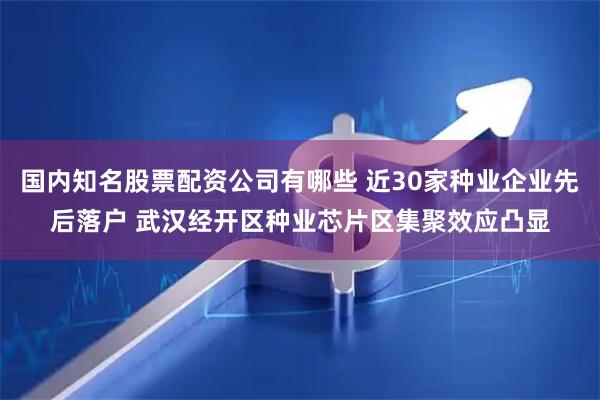 国内知名股票配资公司有哪些 近30家种业企业先后落户 武汉经开区种业芯片区集聚效应凸显