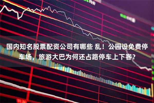 国内知名股票配资公司有哪些 乱！公园设免费停车场，旅游大巴为何还占路停车上下客？